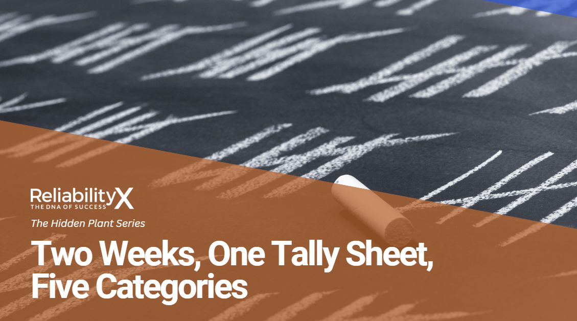 Two Weeks, One Tally Sheet, Five Categories 